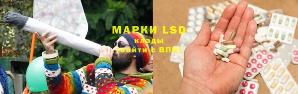 PSILOCYBIN Верея