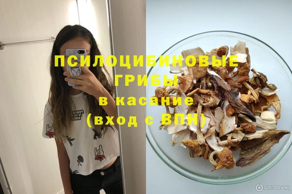 2c-b Верхний Тагил