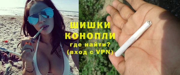 PSILOCYBIN Верея
